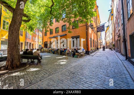 Brända Tomten ist ein idyllischer Platz in Gamla stan. Der dreistöckige Platz wurde nach dem großen Brand 1740 als Drehfläche für Pferdewagen angelegt. Unter dem großen Kastanienbaum befinden sich Bänke. Der Schriftsteller August Strindberg soll hier oft gesessen haben. Restaurant 'Under the Chestnut'. Brända Tomten, Stockholm, Schweden Stockfoto