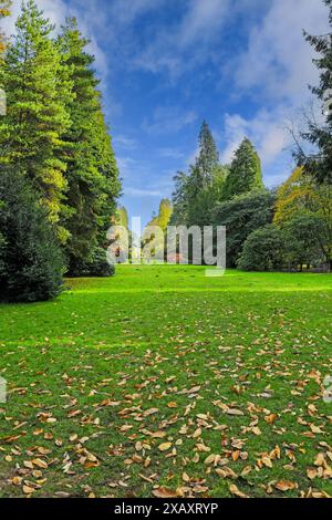 Die Holford Ride in Westonbirt Arboretum, Tetbury, Gloucestershire, England, Großbritannien Stockfoto