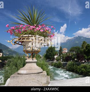 Meran, Südtirol, Italien 07. Juni 2024: Hier die Kurstadt Meran, Meran, Meran, Meraner Land, Burggrafenamt, der Blick von der Postbrücke auf einen Blumentopf und blühenden Blumen, den Fluss Passer und im Hintergrund die Kurpromenade mit Kurhaus, wandern, spazieren, Tourismus, Hotspot, Urlaubsdomizil *** Meran, Südtirol, Italien 07 Juni 2024 hier die Kurstadt Meran, Meran, Meran, Meraner Land, Burggrafenamt, der Blick von der Postbrücke auf einen Blumentopf und blühende Blumen, die Passer und im Hintergrund die Kurpromenade mit Kurhaus, Wandern, Wandern, Tourismus, Hotspot, Urlaubsziel Stockfoto