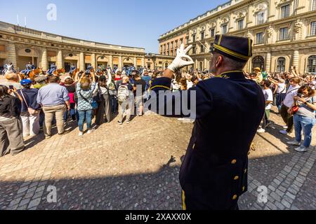 Der Dirigent der Kavallerie-Band steht auf einer Plattform inmitten der Touristen und leitet das Konzert mit Marschmusik und Abba-Liedern. Zeremonie der Kaisergarde im Königspalast von Stockholm. Wachwechsel vor dem schwedischen Königspalast in Stockholm mit musikalischer Begleitung der berittenen Band. Yttre borggården, Stockholm, Schweden Stockfoto