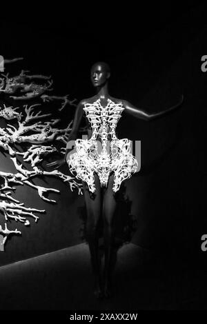 Paris, Frankreich - 9. März 2024: Couture-Modelle der Modedesignerin Iris van Herpen im Pariser Museum für Dekorative Künste Stockfoto