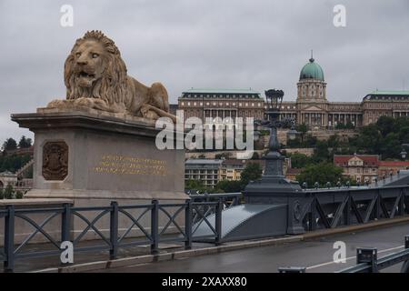 Skulptur eines Löwen auf der Széchenyi Kettenbrücke über die Donau, Budapest, Ungarn. Im Hintergrund befindet sich die Burg Buda. Stockfoto