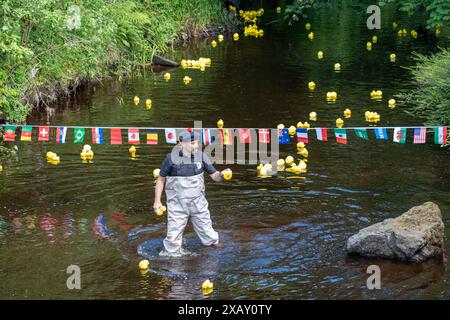 Stewarton, Schottland, Großbritannien. Juni 2024. Duck Race als Teil der jährlichen Woche der Aktivitäten der Stewarton Bonnet Guild, die zur Krönung der Corsehill Queen und Parade am Samstag, den 15. Juni, führen. Gutschrift: R.. Gass/Alamy Live News Stockfoto