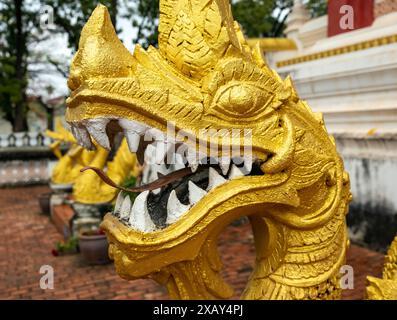 Naga Figur, Haw Phra Kaew oder Ho Phrakeo Museum, Vientiane, Laos Stockfoto