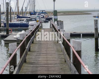 Ein Holzsteg führt zu einem Jachthafen mit mehreren Segelbooten im Hintergrund, Spiekeroog, Ostfriesland, DEUTSCHLAND Stockfoto