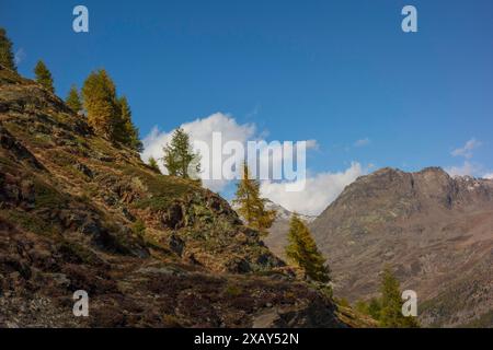 Herbstliche Berglandschaft mit Baumgruppen und Felsen unter blauem Himmel mit verstreuten Wolken, SaaS Fee, Schweiz Stockfoto