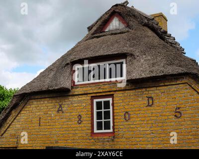 Traditionelles Haus mit Strohdach und gelben Ziegeln in ländlicher Umgebung, Maasholm, Schleswig-Holstein, Deutschland Stockfoto