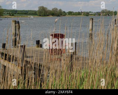 Blick durch Schilf zu einem See mit einem alten Holzsteg und Windrädern in der Ferne, Arnis, Schleswig-Holstein, Deutschland Stockfoto