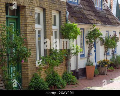 Kopfsteinpflasterstraße mit Blumen und traditionellen Backsteinhäusern mit grünen Türen und Fenstern, Schleswig-Holstein, Deutschland Stockfoto