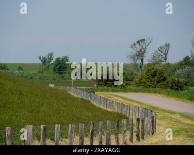 Ein schmaler Weg führt durch eine grüne Landschaft mit Bäumen und einem Holzzaun zum Horizont, Hallig Hooge, schleswig-holstein, deutschland Stockfoto