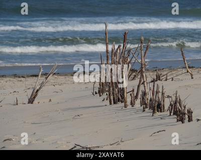 Mehrere Holzstücke ragen aus dem Sand am Strand, während Wellen im Hintergrund krachen, Juist, ostfriesland, deutschland Stockfoto