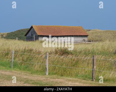 Alte Scheune steht auf einer Wiese mit hohem Gras und einem klaren blauen Himmel im Hintergrund, juist, ostfriesland, deutschland Stockfoto