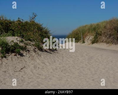 Sandweg führt durch die Dünen zum Strand unter klarem blauem Himmel, langeoog, deutschland Stockfoto