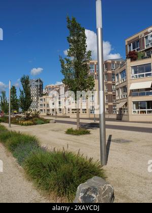 Moderne Apartmentblöcke und Bäume unter blauem Himmel in städtischer Umgebung, Doesburg, Niederlande Stockfoto