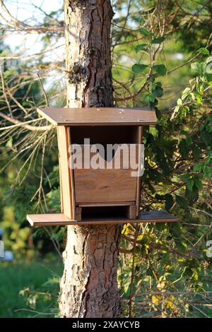 Hausgemachte improvisierte vor dem hölzernen Vogelhaus mit großer Öffnung, die an der Seite des schmalen Baumes hängt, umgeben von dichten Zweigen im warmen, sonnigen Sommer Stockfoto