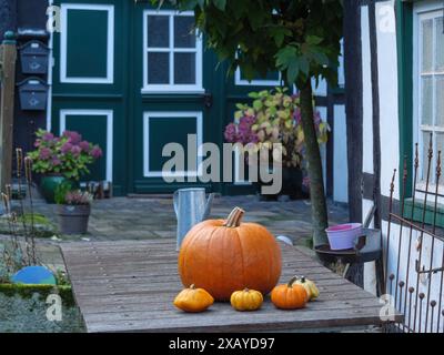 Holztisch vor einem Fachwerkhaus mit Kürbissen und herbstlicher Dekoration, Tecklenburg, Nordrhein-Westfalen, Deutschland Stockfoto