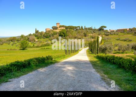 Toskanische Landschaft im Val d'Orcia am Frühlingstag, Provinz Siena, Italien Stockfoto