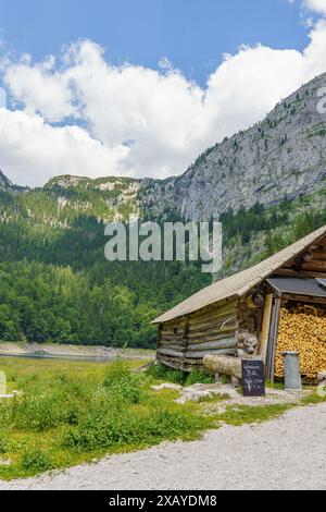 Eine Holzhütte mit einem Holzhaufen davor, eingebettet in eine bergige und bewaldete Landschaft unter teilweise bewölktem Himmel, Gosau, Österreich Stockfoto