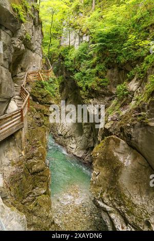 Eine enge Schlucht mit einem klaren Fluss und Holzgeländern entlang des Wanderweges, umgeben von Felsen und Grün, Gosau, Österreich Stockfoto