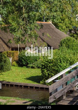 Ein charmantes Haus mit Strohdach und Holzbrücke ist von einem gepflegten Garten mit Bäumen und Sträuchern umgeben, Giethoorn, Niederlande Stockfoto