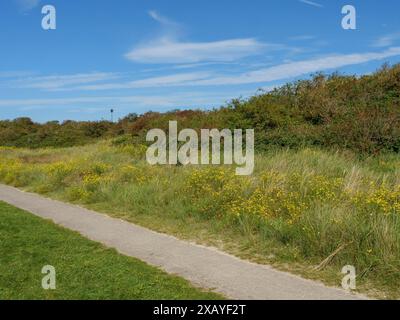 Ein asphaltierter Weg führt durch grasbewachsene Landschaften und Hecken unter blauem Himmel, langeoog, deutschland Stockfoto