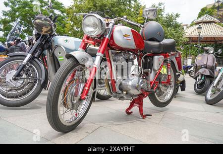 Der klassische Moto Ducati 200TS wird jährlich bei einem Classic Motorrad Meeting in Mijas, Andalusien, Spanien, ausgestellt. Stockfoto