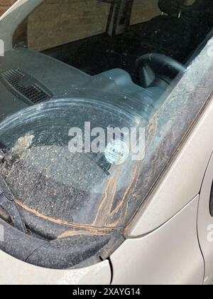Cremona, Italien - 9. Juni 2024 der silberne Wagen, der auf einer Stadtstraße geparkt ist, ist nach einem Sandsturm mit einer dicken Staubschicht bedeckt Stockfoto