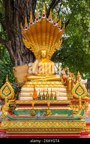 Buddha-Statue unter dem Bodhi-Baum, Wat Si Muang, Vientiane, Laos Stockfoto