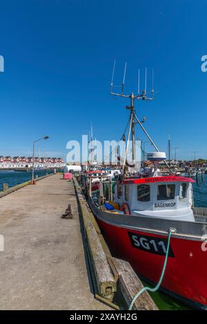 Bagenkop Hafen, Langeland Insel, Fünen, Fischerboot, Steg, Ferienhäuser, Dänische Südsee, Ostsee, Dänemark Stockfoto