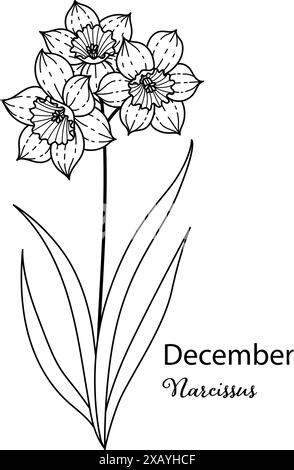 Geburtsmonat Blume des Dezember ist Narzisse Blume für den Druck Gravur, Laserschnitt, Färben und so weiter. Vecter-Illustration. Stock Vektor