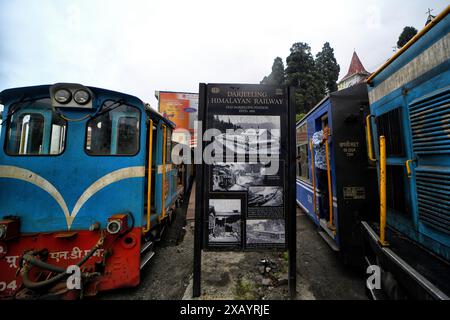 8. Juni 2024, Darjeeling, West Bengal, Indien: Zwei Spielzeugzüge am Bahnhof Darjeeling. Die Darjeeling Himalayan Railway, auch bekannt als „Toy Train“, ist ein Schmalspurzug und wurde zwischen 1879 und 1881 gebaut. Die Bahn bewegt sich auf eine Höhe von 2.200 Metern (7.218 ft). Vier moderne Diesellokomotiven übernehmen den Großteil des Linienverkehrs; die täglichen Touristenzüge von Darjeeling nach Ghum (dem höchsten Bahnhof Indiens) werden jedoch von den alten Dampflokomotiven der B-Klasse abgewickelt. DHR wurde 1999 von der UNESCO zum Weltkulturerbe erklärt. (Guthaben Im Stockfoto