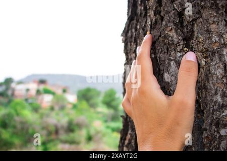 Junge weibliche Hand berührt im Sommer einen Baumstamm in der Natur vor einem malerischen Dorfgrund Stockfoto