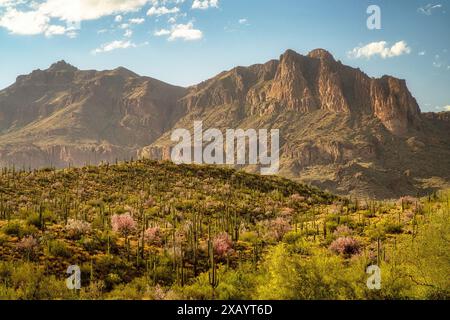 Superstition Mountain vom Peralta Regional Park in der Nähe von Phoenix, Arizona. Stockfoto