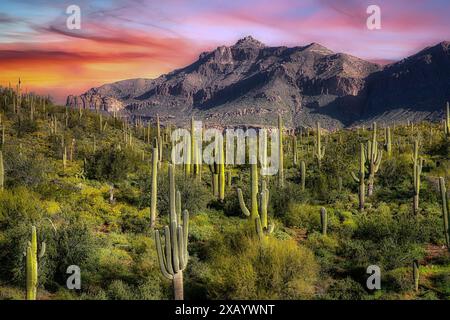 Superstition Mountain vom Peralta Regional Park in der Nähe von Phoenix, Arizona. Stockfoto