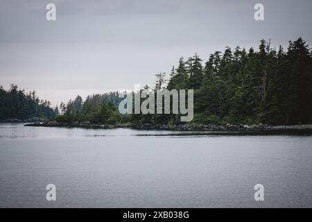 Eine ruhige und unberührte Küste Alaskas mit dichten Wäldern und ruhigen Gewässern, ideal für Natur-, Reise- und Umweltprojekte, die die Highlights der Region hervorheben Stockfoto
