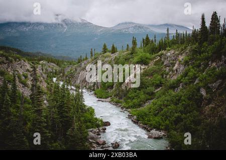 Ein atemberaubender Fluss schlängelt sich durch ein üppiges, grünes Bergtal in British Columbia, umgeben von dichten Wäldern und zerklüfteten Klippen unter einem nebeligen Himmel Stockfoto