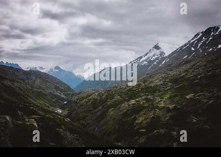 Ein atemberaubender Blick auf schneebedeckte Gipfel und üppige Täler in British Columbia, perfekt, um die raue Schönheit und unberührte Wildnis der zu zeigen Stockfoto