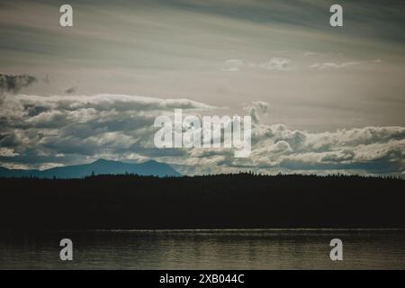 Dieses Foto fängt die ruhige Schönheit des Morgenlichts Alaskas ein, das weiche Schatten über einen dichten Wald und eine Bergkette wirft. Perfekt für Reisen, Natur Stockfoto