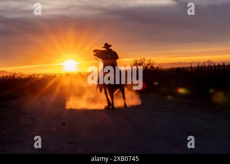 Die Silhouette eines Ranch Hand oder Cowboys, der sein Pferd im Sonnenuntergang reitet. Stockfoto