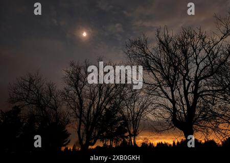 Der dunkle Himmel und das orange Leuchten des Sonnenlichts am Horizont, während der Mond die Sonne vollständig über einigen Bäumen bedeckt. Stockfoto