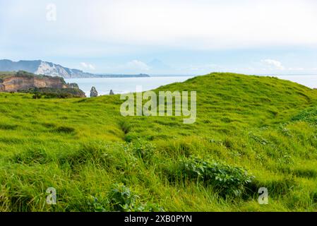 Schafweide in der Region Taranaki - Neuseeland Stockfoto