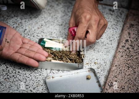 Bangkok, Thailand. Juni 2024. Manche Menschen verwenden Cannabis zur Behandlung von Erkrankungen. Manche Leute benutzen es, um sich zu entspannen. Während das Ministerium für öffentliche Gesundheit Thailand erwägt, Cannabis wieder auf Betäubungsmittelkonto zu bringen. (Foto: Teera Noisakran/Pacific Press) Credit: Pacific Press Media Production Corp./Alamy Live News Stockfoto