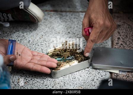 Bangkok, Thailand. Juni 2024. Manche Menschen verwenden Cannabis zur Behandlung von Erkrankungen. Manche Leute benutzen es, um sich zu entspannen. Während das Ministerium für öffentliche Gesundheit Thailand erwägt, Cannabis wieder auf Betäubungsmittelkonto zu bringen. (Foto: Teera Noisakran/Pacific Press) Credit: Pacific Press Media Production Corp./Alamy Live News Stockfoto