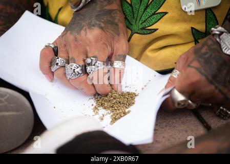 Bangkok, Thailand. Juni 2024. Manche Menschen verwenden Cannabis zur Behandlung von Erkrankungen. Manche Leute benutzen es, um sich zu entspannen. Während das Ministerium für öffentliche Gesundheit Thailand erwägt, Cannabis wieder auf Betäubungsmittelkonto zu bringen. (Foto: Teera Noisakran/Pacific Press) Credit: Pacific Press Media Production Corp./Alamy Live News Stockfoto