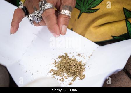 Bangkok, Thailand. Juni 2024. Manche Menschen verwenden Cannabis zur Behandlung von Erkrankungen. Manche Leute benutzen es, um sich zu entspannen. Während das Ministerium für öffentliche Gesundheit Thailand erwägt, Cannabis wieder auf Betäubungsmittelkonto zu bringen. (Foto: Teera Noisakran/Pacific Press) Credit: Pacific Press Media Production Corp./Alamy Live News Stockfoto