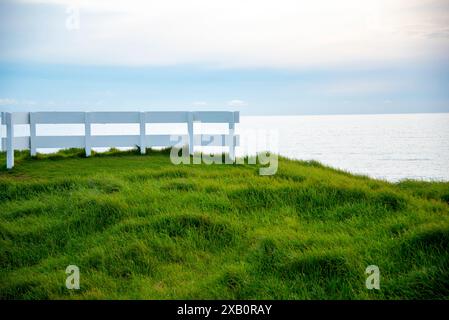 Schafweide in der Region Taranaki - Neuseeland Stockfoto