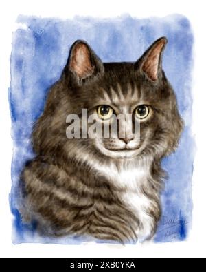 Porträt einer grauen langhaarigen Tabbykatze. Aquarellmalerei. Haustiere Tiere Konzept. Stockfoto