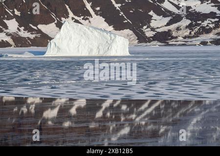 East Greenalnd, Blosseville Coast. Am frühen Morgen, gefrorene Fjordreflektionen. Eisberg im schmelzenden Frühjahrs-Schnelleis. Stockfoto