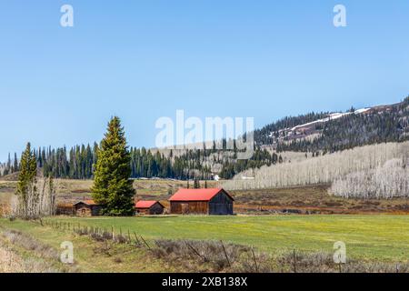 Verlassene Farm inmitten des grünen Feldes in den Bergen von Colorado Stockfoto