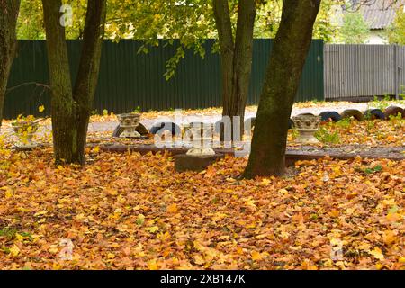 Wunderschöne Herbstlandschaft mit gelben Bäumen und Sonne. Buntes Laub im Park. Fallen hinterlässt natürlichen Hintergrund. Hochwertige Fotos Stockfoto